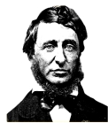 125 Henry David Thoreau