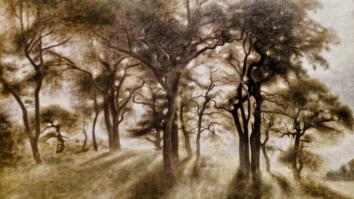 la foresta, paesaggio, 1901 01