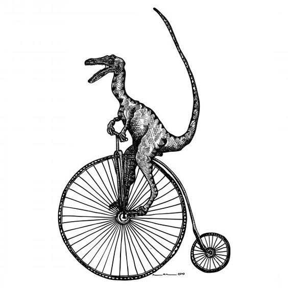 Animali in bicicletta (4)